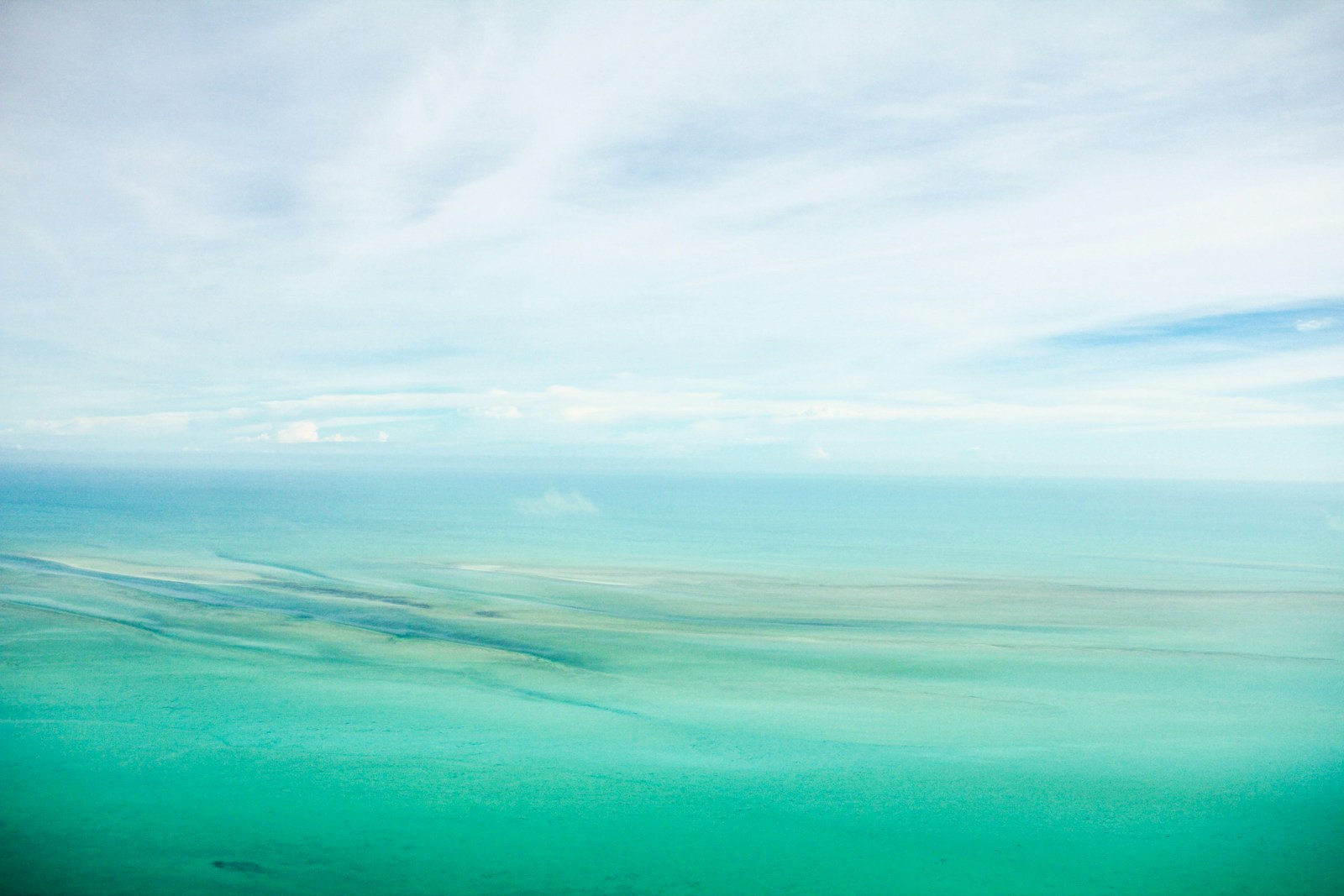 selective focus photography of white sky